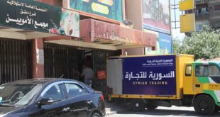 السورية للتجارة تؤكد كسر أسعار البندورة والخيار في صالاتها
