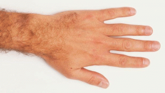 "ميزة بيولوجية".. الرجال ذوو الأصابع الطويلة أقل عرضة للوفاة بكورونا