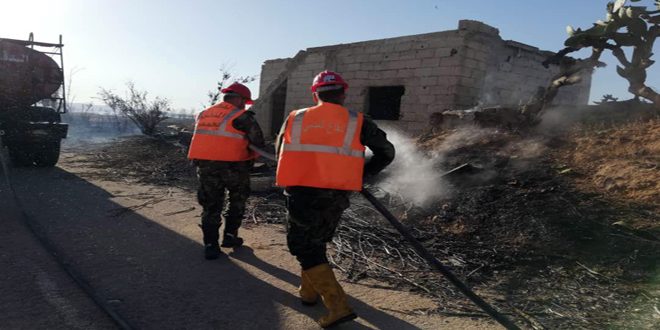 إخماد حريقين نشبا في حقول الزيتون والقمح والسرو بريف حمص