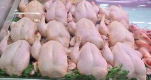 شرحات الدجاج ب ٤٠٠٠ ليرة .. وأسعار الفروج تحلّق