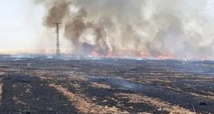 الحسكة: النار تلتهم محاصيل تل تمر.. فصائل تركيا تفتعل الحرائق