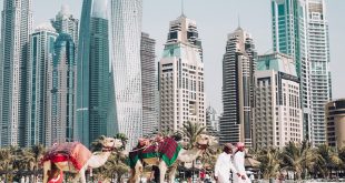 استطلاع في دبي يتوقع إغلاق 70 بالمئة من الشركات في 6 أشهر