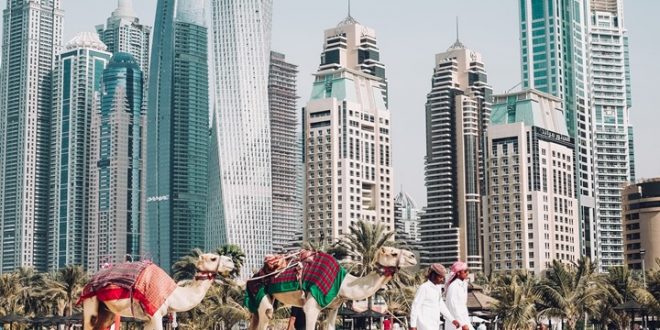 استطلاع في دبي يتوقع إغلاق 70 بالمئة من الشركات في 6 أشهر