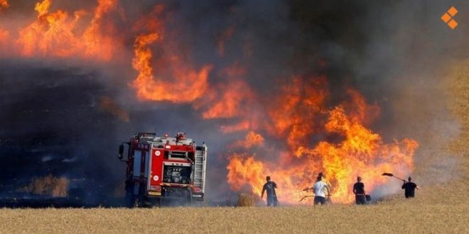 شهادات سكان الحسكة: واشنطن تحرق حقول القمح