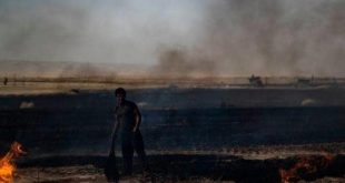 أوامر بحرق آلاف الهكتارات من حقول القمح في سوريا