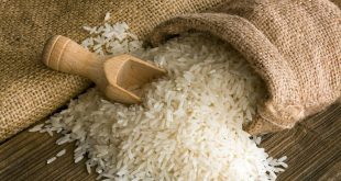 الأرز فوائد مهمة جداً للمعدة