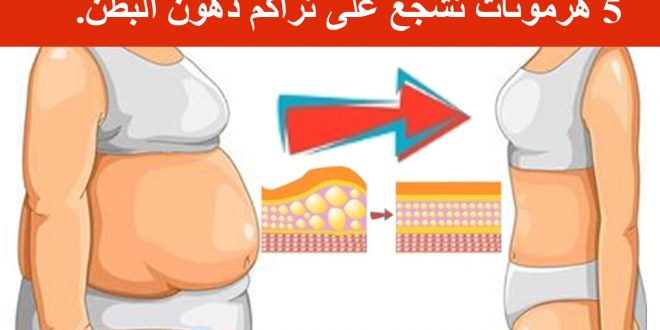 الهرمونات ال 5 التي تشجع على تجمّع دهون البطن