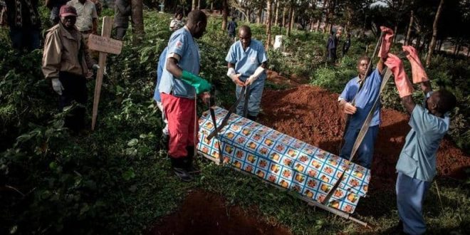 ما هو فيروس إيبولا.. الوباء القادم من الكونغو