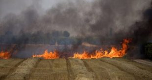 3158 دونم أضرار المحاصيل والأشجار المثمرة نتيجة الحرائق في حمص