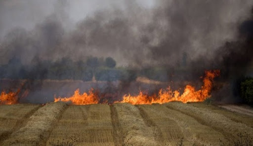 3158 دونم أضرار المحاصيل والأشجار المثمرة نتيجة الحرائق في حمص