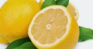 الليمون الحامض بـ4000 ليرة.. كشتو
