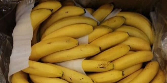 تجار سوق الهال: سعر كرتونة الموز