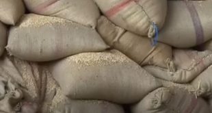 الإدارة الذاتية شمال شرقي سوريا تمنع الفلاحين من بيع القمح لدمشق