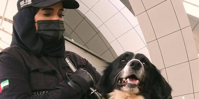 الإمارات تنجح في كشف كورونا باستخدام الكلاب البوليسية