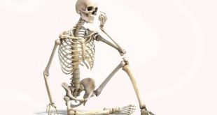اسباب هشاشة العظام – 10 عوامل تؤذي عظامك وتضعفها