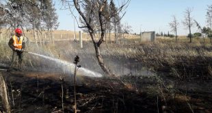 حريق كبير على امتداد 40 دونم أشجار بريف حمص