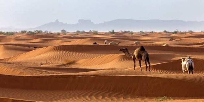 مثلث بهياكل بشرية... اكتشاف أثري غريب في السعودية