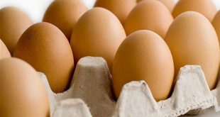 طبق البيض يرتفع 500 ليرة دفعة واحدة في الأسواق السورية