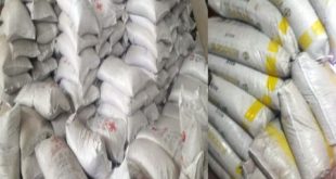 الرز مخزن في مستودعات السورية للتجارة ومعرضة للسوس