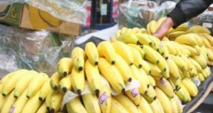 أسعار الموز تنخفض