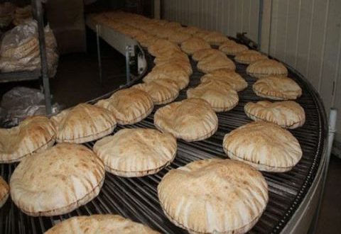 مدير مؤسسة المخابز: الحكومة تدعم صناعة الخبز