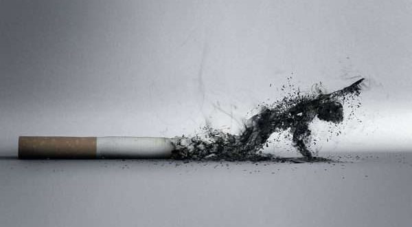 نصائح للتوقف عن التدخين
