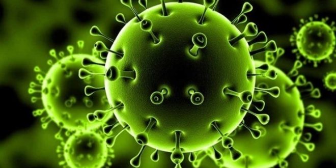 بريطانيا تسجل أول حالة لإصابة قط منزلي بفيروس كورونا في أراضيها