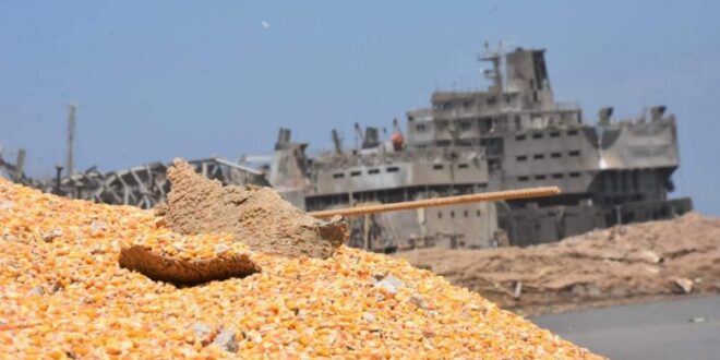 ما هو تأثير انفجار مرفأ بيروت على استيراد القمح في سوريا؟