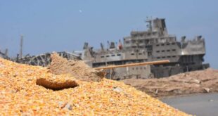 لا تأثير لانفجار مرفأ بيروت على استيراد القمح في سورية