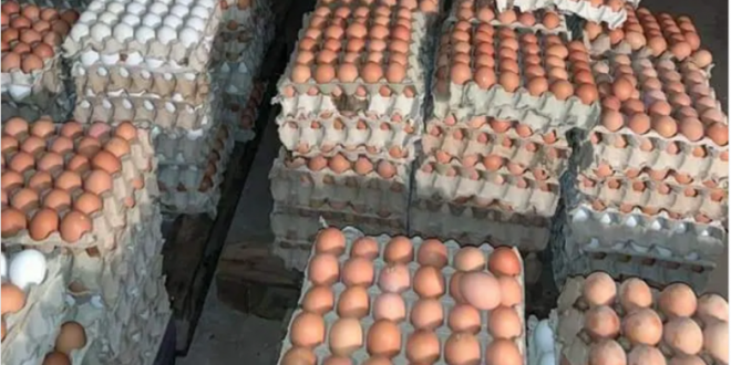 البيضة بـ 130 ليرة.. ! والدواجن: انخفاض طفيف على أسعار الأعلاف