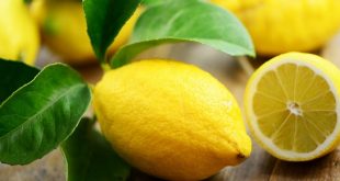 تجار في سوق الهال يبشرون بانخفاض كيلو الليمون
