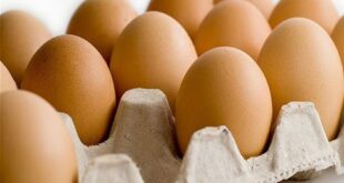 توقعات بانخفاض أسعار البيض إلى 3500 ليرة للطبق