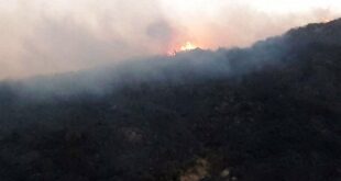 85 بالمئة نسبة السيطرة على حرائق ريف مصياف.. وفرق الإطفاء تتعامل مع حريق الغاب الحدودي مع اللاذقية