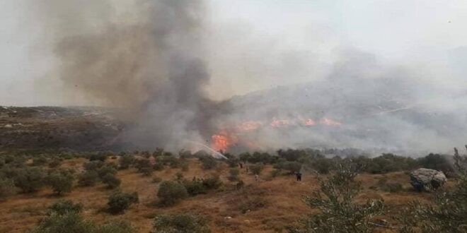 انضمام طائرة إيرانية للحوامات السورية في جهود إطفاء الحرائق