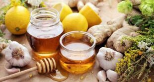مزيج الثوم مع العسل و زيت الزيتون رائع لصحتك .. اكتشف فوائده الصحية المذهلة