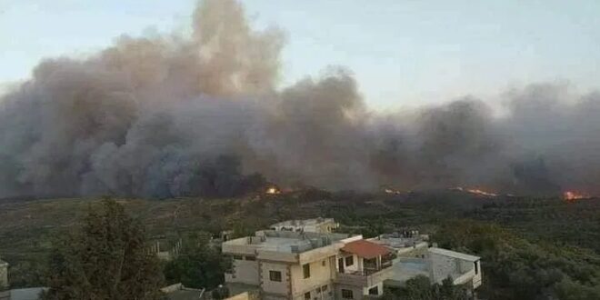 أكبرها في منطقة مشتى الحلو .. اندلاع 55 حريقاً في طرطوس