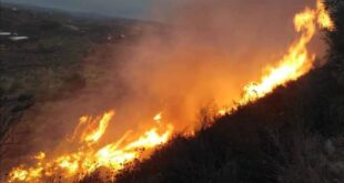 الحرائق تلتهم مئات الدونمات بجبال اللاذقية