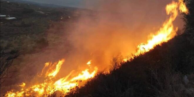 الحرائق تلتهم مئات الدونمات بجبال اللاذقية