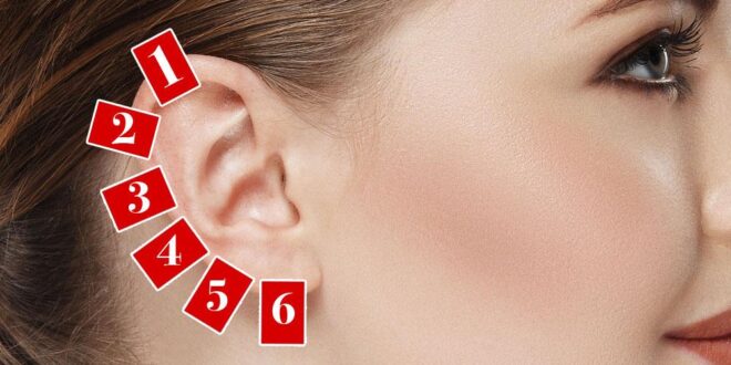 6 نقاط تدليك على الأذن لعلاج الأمراض المستعصية