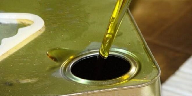 سوريا: ارتفاع أسعار زيت الزيتون بسبب الحرائق ومتوقع ارتفاع أسعار الحمضيات