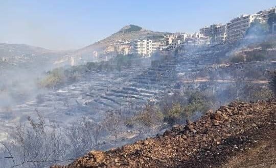 حافظ طرطوس : 3972 أسرة تضررت بشكل مباشر و الحرائق طالت أكثر من نصف مليون شجرة