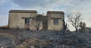 القرداحة تتصدر قائمة المناطق المتضررة من الحرائق في اللاذقية