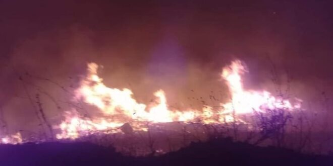 السيطرة على حريق ضخم فجر اليوم قرب غابة النبي متى بريف طرطوس