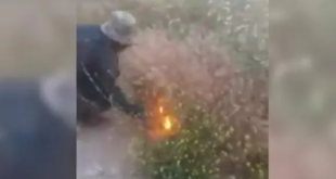 انتشار فيديو يظهر شباناً يفتعلون الحرائق في الساحل السوري.. ما قصته؟