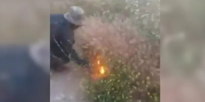انتشار فيديو يظهر شباناً يفتعلون الحرائق في الساحل السوري.. ما قصته؟