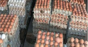 صحن البيض بـ5300 ليرة مع توقعات بارتفاعه اكثر