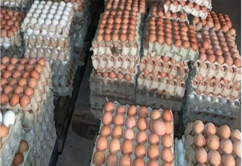 صحن البيض بـ5300 ليرة مع توقعات بارتفاعه اكثر