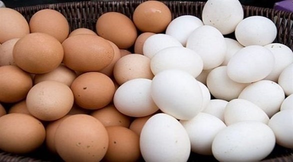 البيض الأبيض والبيض البني.. ما الفرق بينهما؟