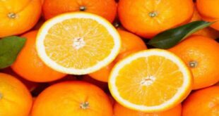 الفواكه خارج البيوت السورية منذ سنوات.. و أرخصها البرتقال بـ750 ليرة للكيلو الواحد!!