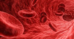 اكتشاف بروتين وقائي يحمي "ينبوع الشباب'' في الدم